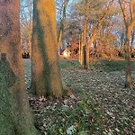 Skelstrupgaard * Maribo