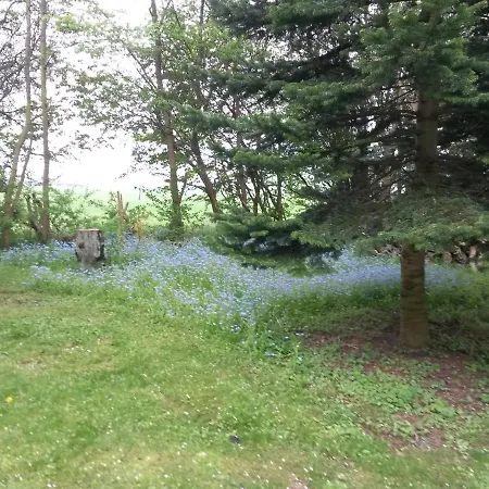 Skelstrupgaard Марибо