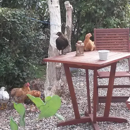 Skelstrupgaard Daire *