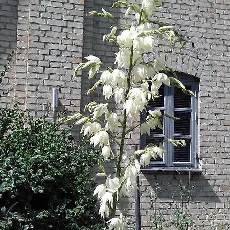 Appartement Skelstrupgaard