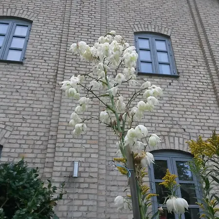 Skelstrupgaard Daire Maribo