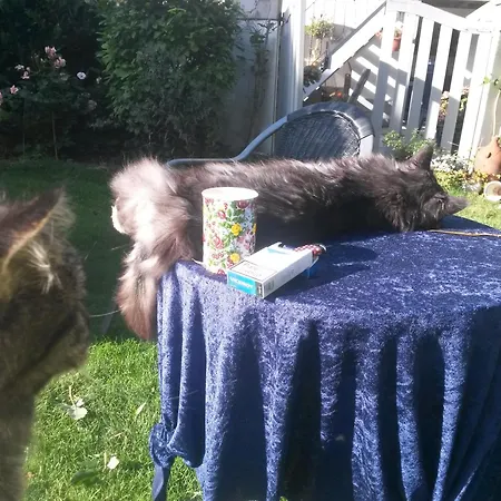 Skelstrupgaard Apartamento *