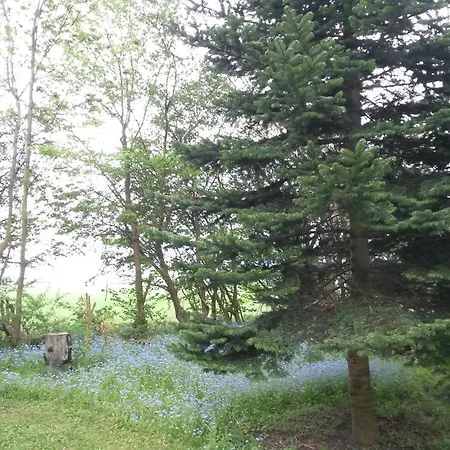 Skelstrupgaard *