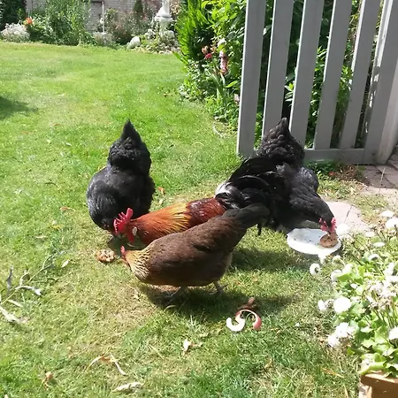 Skelstrupgaard Apartamento *