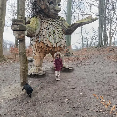 Skelstrupgaard Daire