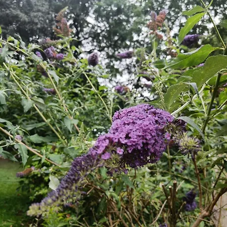 Skelstrupgaard Apartamento