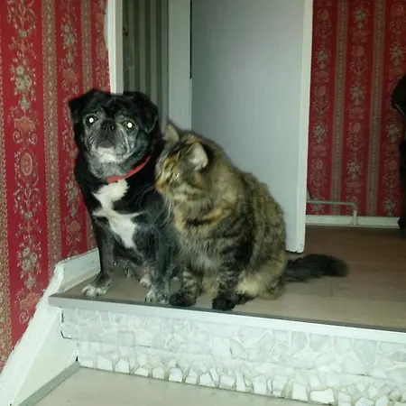 Skelstrupgaard Apartamento