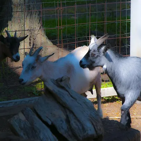 Skelstrupgaard Apartamento