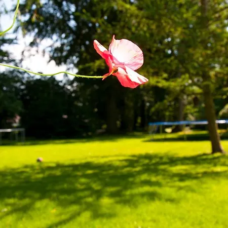 Skelstrupgaard Apartamento *