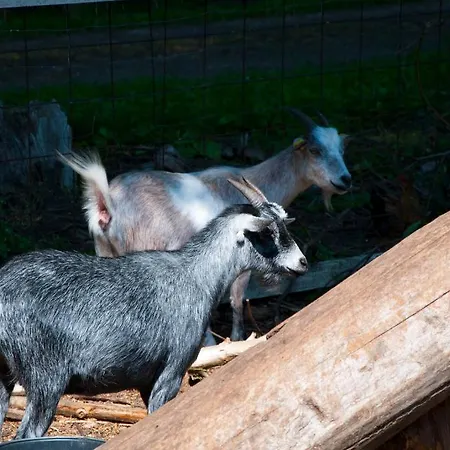 Skelstrupgaard Maribo