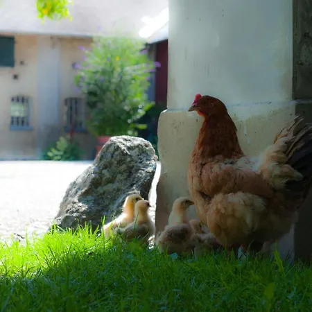 Apartmán Skelstrupgaard Maribo