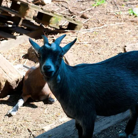 Appartement Skelstrupgaard