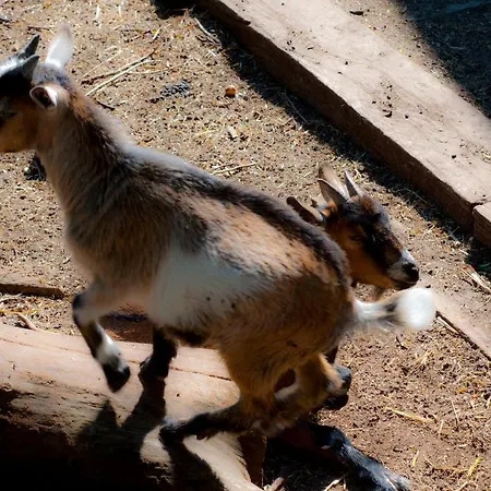 Skelstrupgaard Apartamento Maribo