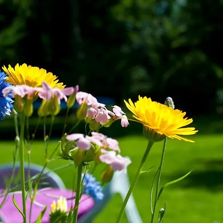 Skelstrupgaard Maribo