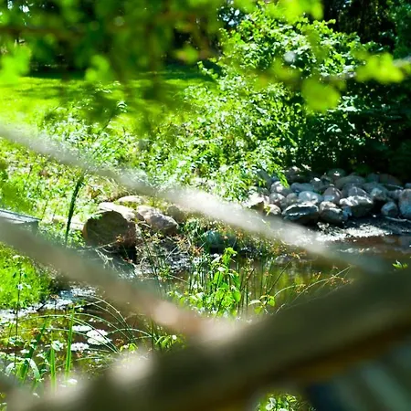 Daire Skelstrupgaard *