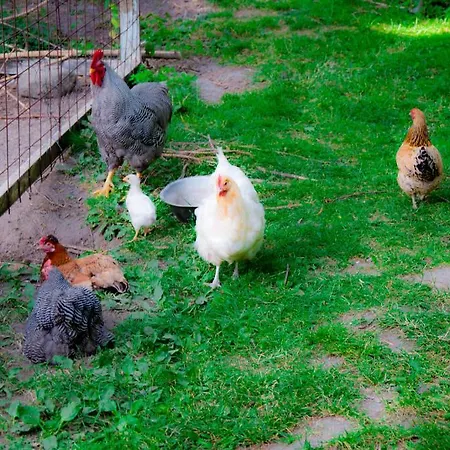 Appartement Skelstrupgaard Maribo