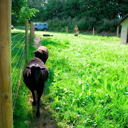 Skelstrupgaard * Maribo