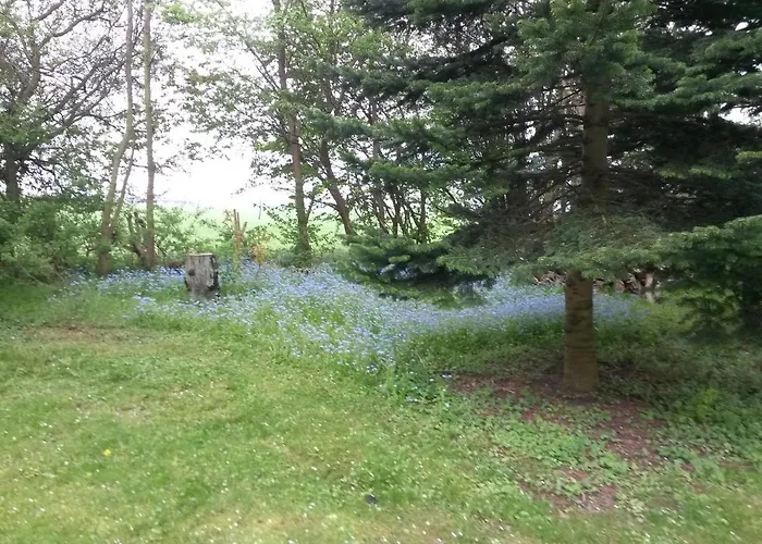 Skelstrupgaard Maribo