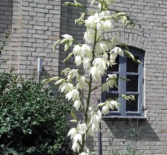 דירה Skelstrupgaard