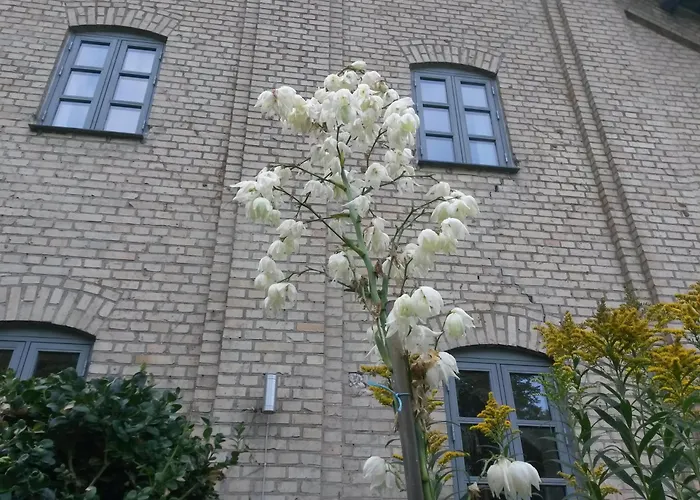 Skelstrupgaard Apartamento Maribo