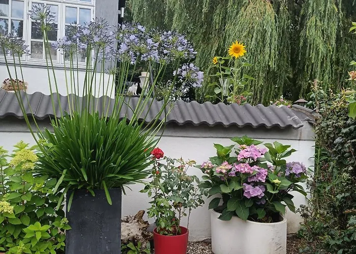 Skelstrupgaard דירה מריבו