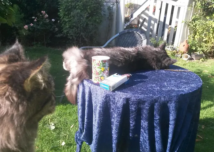 Skelstrupgaard דירה *