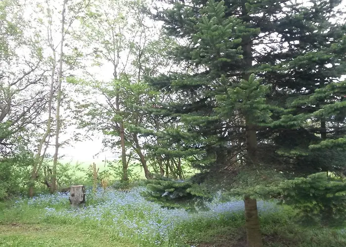 Skelstrupgaard *
