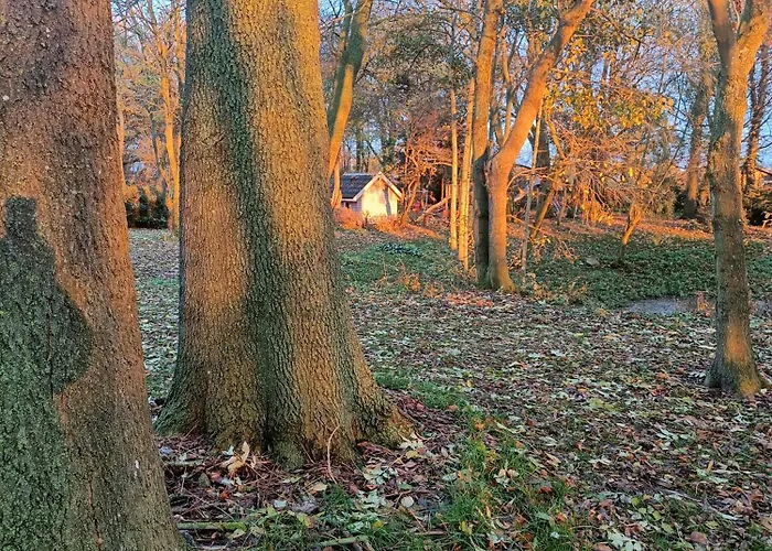 Skelstrupgaard * מריבו