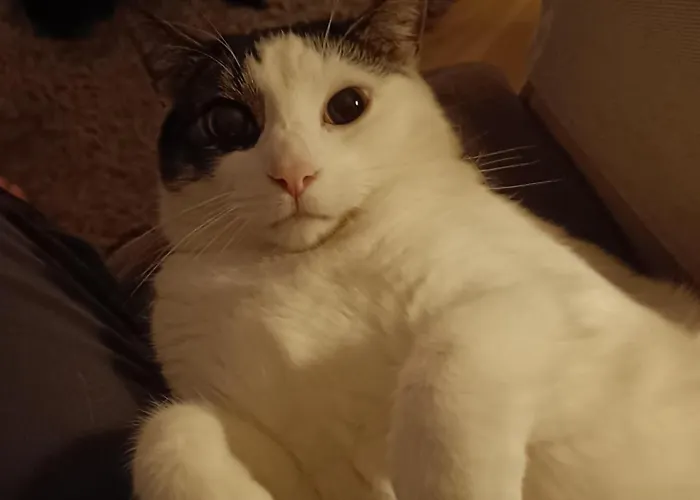 דירה Skelstrupgaard *