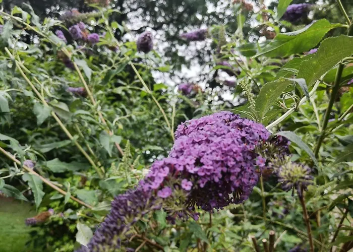 Skelstrupgaard דירה