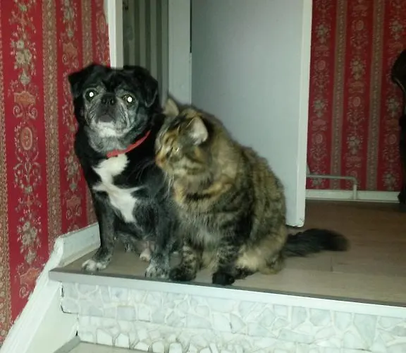 Skelstrupgaard דירה