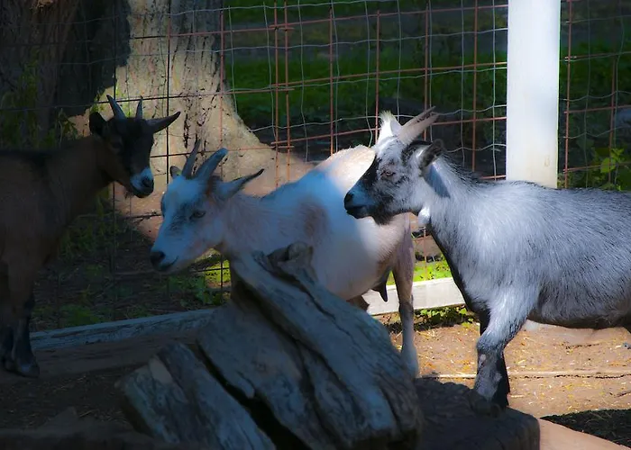 Skelstrupgaard דירה