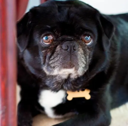 Skelstrupgaard דירה