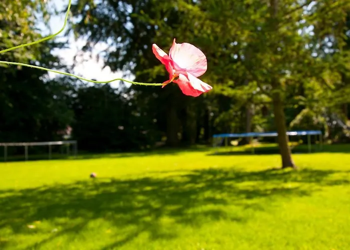 Skelstrupgaard דירה *