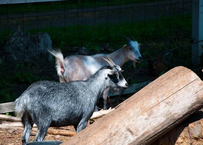 Skelstrupgaard מריבו