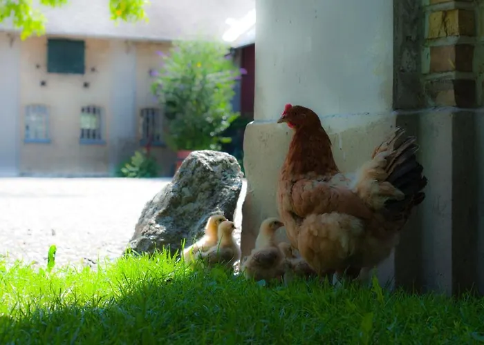 דירה Skelstrupgaard מריבו