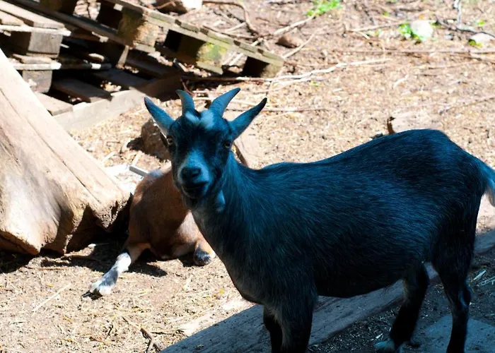 דירה Skelstrupgaard