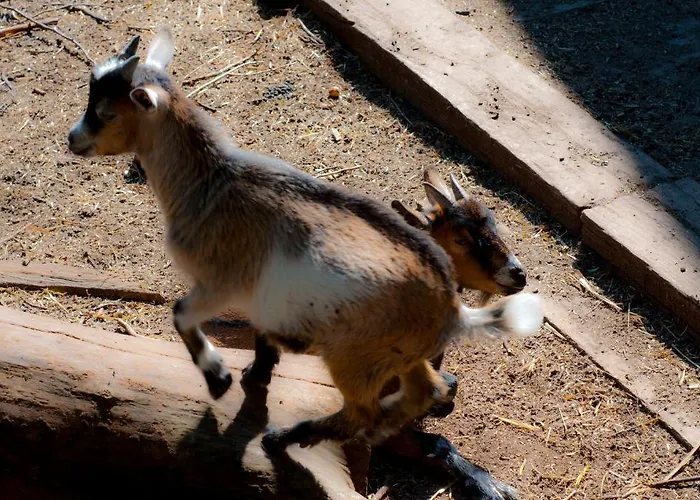 思科斯特普加德公寓酒店 公寓 马里博