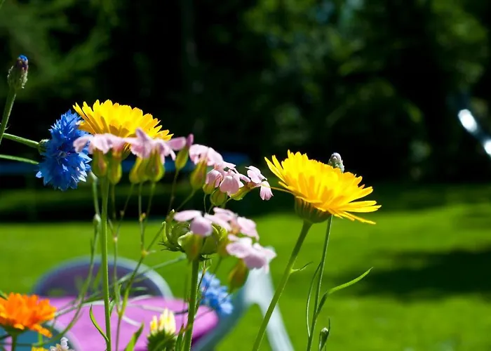 Skelstrupgaard מריבו