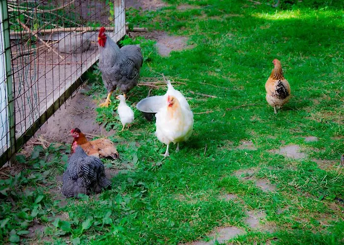 דירה Skelstrupgaard מריבו