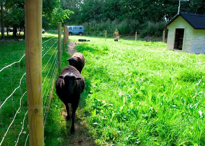 思科斯特普加德公寓酒店 * 马里博